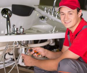 About Plumbers Pros Mazomanie, WI
